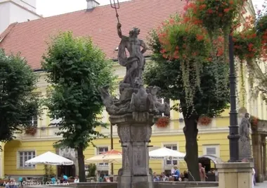 Pizza i sałatka w Klubie Seniora+. Pierwszaki z Jaroszowa gotowały z seniorami